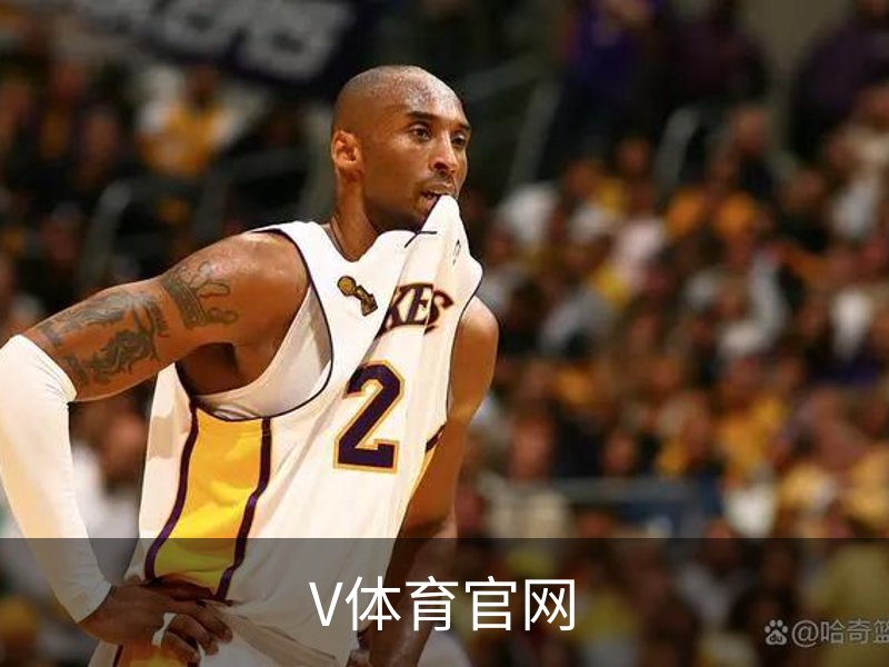 V体育官网概况